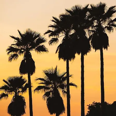 Apartamento En Cala En Porter Menorca Cala En Porter (Menorca)